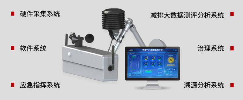 七星瓢虫5.png
